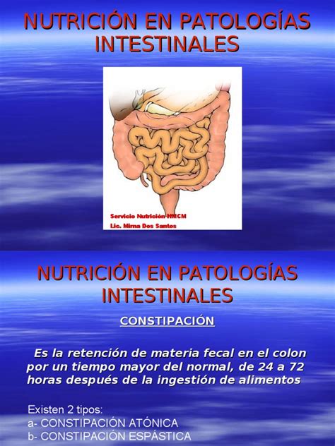 Nutrición En Patologías Intestinales 2 Fibra Dietética Dieta Y