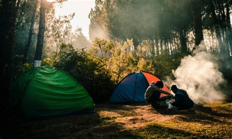 How To Poop In The Woods A Guide For When Nature Calls When Youre Out