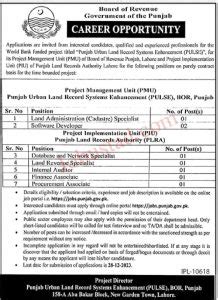 Board Of Revenue Punjab Jobs Advertisement Application Form