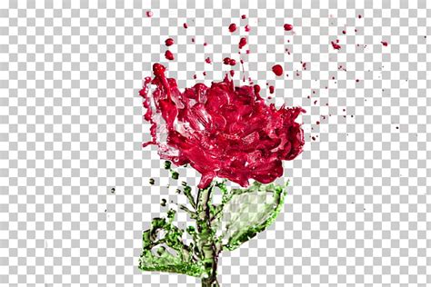 rose watermark clipart 10 free Cliparts | Download images on Clipground 2024