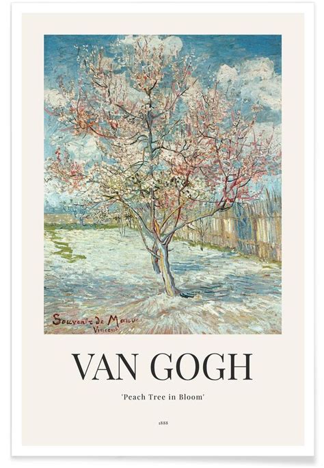 Van Gogh P Cher En Fleur Souvenir De Mauve Affiche Art