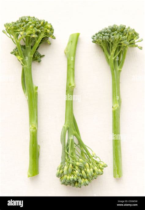 A Still Life Image Of Three Broccoli Stalks Stock Photo Alamy