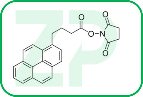 Pyrenebutyric Acid N Hydroxy Succinimide Ester Panhs Zimmerandpeacock