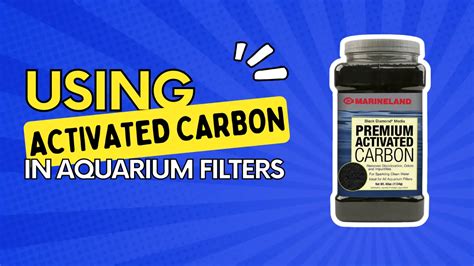 Using Activated Carbon In Aquarium Filters Beginners Guide