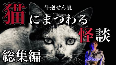 【実話怪談】猫にまつわる怖い話 6話 Youtube