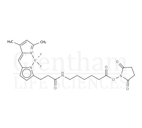 Bodipy Propanoylaminocaproic Acid N Hydroxysuccinimide Ester Cas