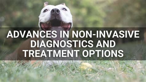 Advances in Non-Invasive Diagnostics and Treatment Options - YouTube