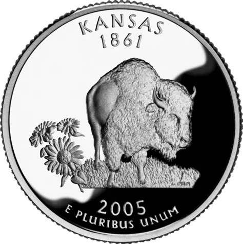 State Animal of Kansas | American Buffalo