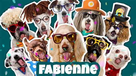 Joyeux Anniversaire Fabienne Chanson Dr Le Par Une Meute De Chiens