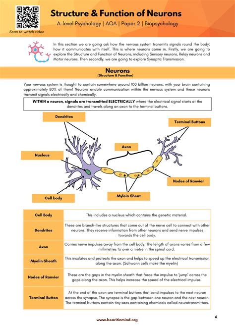 Biopsychology Complete Guide