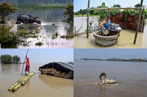 Assam Flood Situation Remains Grim Lakhs Displaced National Parks Hit