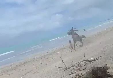 Crian A De Anos Atropelada Por Cavalo Na Faixa De Areia Da Praia