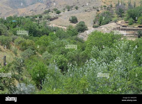 Hayat Village In The Nuratau Mountains Central Uzbekistan Stock Photo