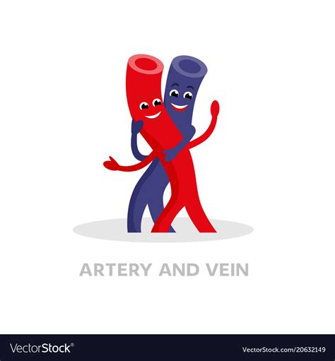 Healthy vein and artery cartoon character isolated