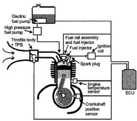 Cycle Engine Fuel Line Diagram Tobiasminerva