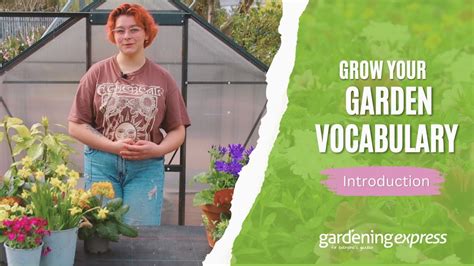 Grow Your Garden Vocabulary Youtube