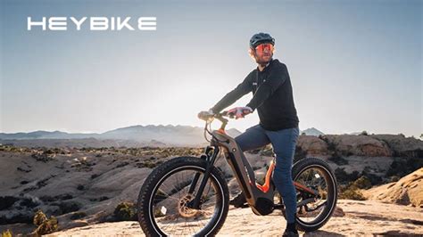 Hero Best Carbon Fiber All Terrain Electric Bike Backerviews