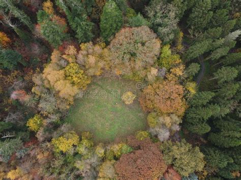 Aerial View of a Fall Forest with a Clearing in the Center Stock Image - Image of plant, leaves ...