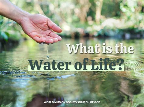 What Is The Water Of Life World Mission Society Church Of God Canada Wmscog