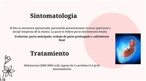 Alteraciones Del Liquido Amni Tico Polihidramnios Y Oligoamnios Pptx