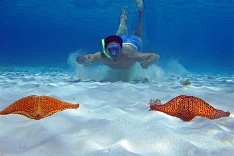 Tripadvisor Tour De Snorkel En Cozumel Hasta El Arrecife Palancar Y