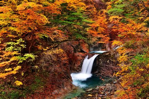 西沢渓谷 ピクスポット 絶景・風景写真・撮影スポット・撮影ガイド