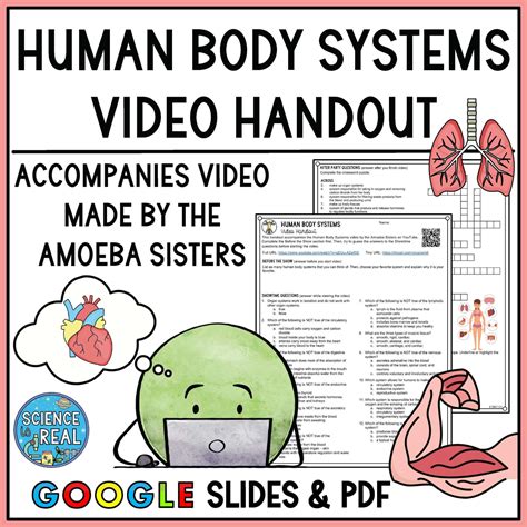 Bbc Body Systems Webquest 7