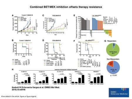 The Bet Inhibitor Jq In Combination With The Mek Inhibitor Pd