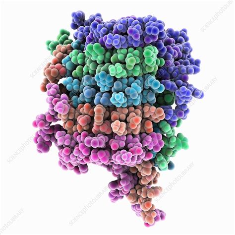 Fungal Prion Protein Stock Image C Science Photo Library