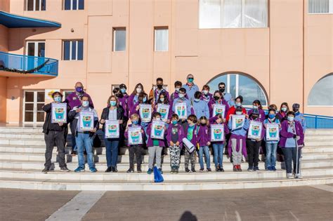 El Iv Grupo Scout De Lalf S Recoge Cerca De Toneladas De Alimentos Y