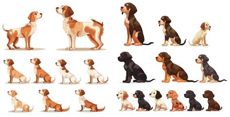 Premium Vector Dog Growth Stage Progression Growing Dogs Life Cycle