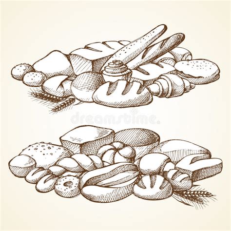Ejemplo Determinado Dibujado Mano Del Vector Del Pan Otros Tipos De