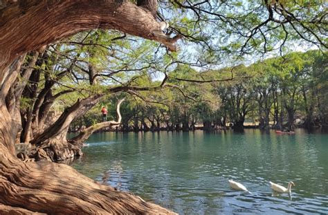 Con 71 mil visitantes Tangancícuaro supera afluencia turística esta