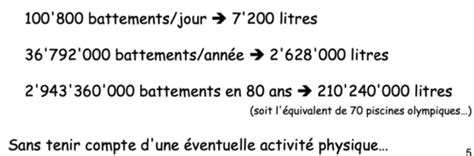 Chapitre Syst Me Cardiovasculaire Partie Le Coeur Flashcards