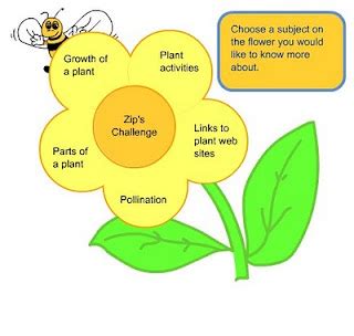 gazpacho   tomato soup zips plants pollination parts