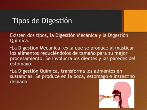 Proceso de la Digestión PPT Descarga Gratuita