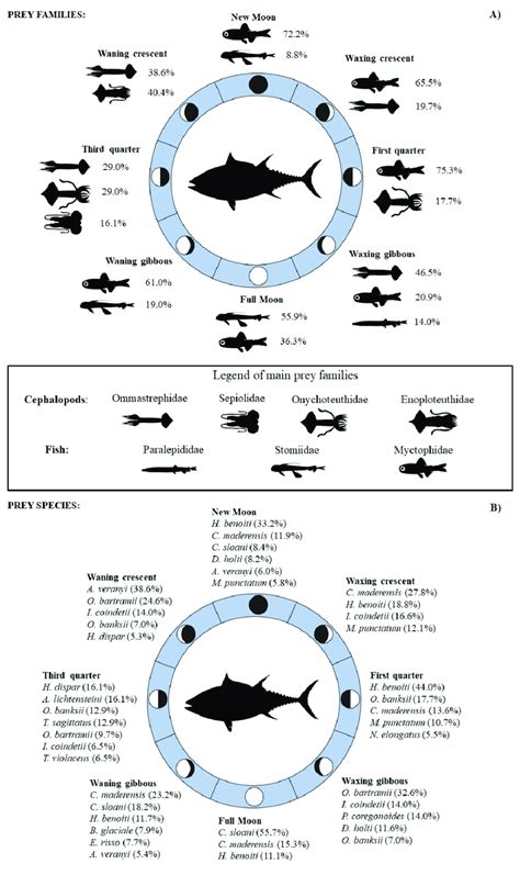 Abundance (%N) of the most important mesopelagic fish and cephalopod ...