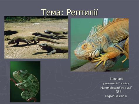 Плазуни, рептилії - презентация онлайн