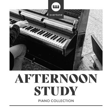 Afternoon Study Piano Collection Album By Relaxing Chill Out Music