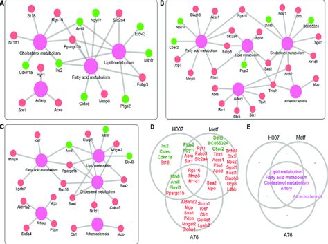 Annotation Of Degs With Known Phenotypes A Gene Phenotype Network