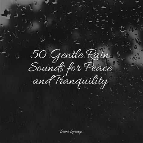 Gentle Rain Sounds For Peace And Tranquility Album By Meditacou