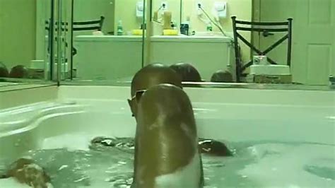 Ts Kim Carta Before The Transition Porn Videos