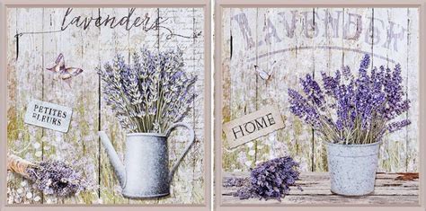 Лаванда постер (48 фото)