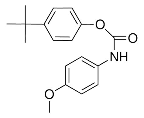 4 TERT BUTYLPHENYL N 4 METHOXYPHENYL CARBAMATE AldrichCPR Sigma Aldrich