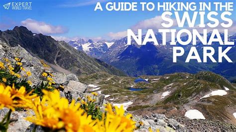 A Guide to Hiking in the Swiss National Park ⋆ Expert World Travel