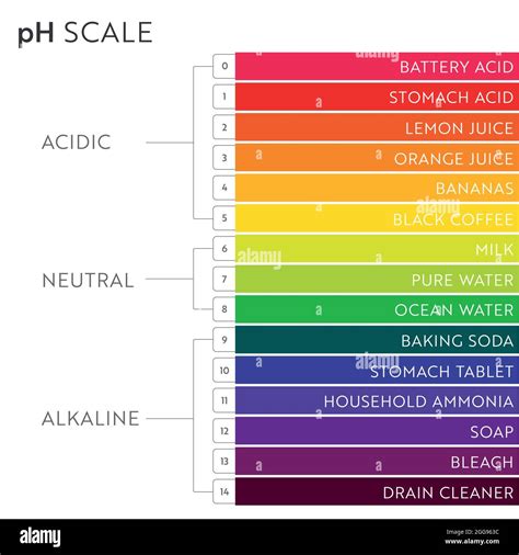 Tabella Della Scala Dei Valori Di Ph Infografica Sull Equilibrio Acido