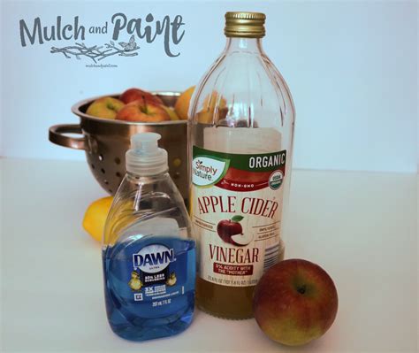 DIY-Fruit-Fly-Trap-ingredients - Mulch & Paint