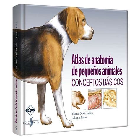 Atlas De Anatomia Veterinaria Pdf On Jan Isabel Cristina Pires