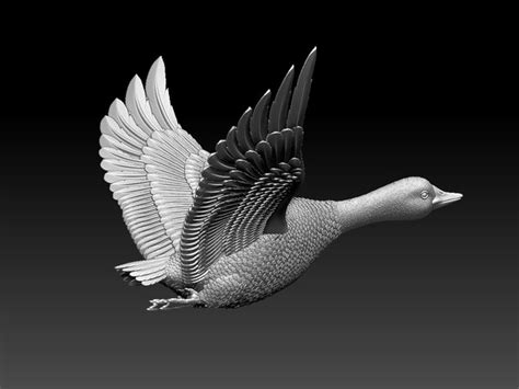 STL Duck Models | TurboSquid