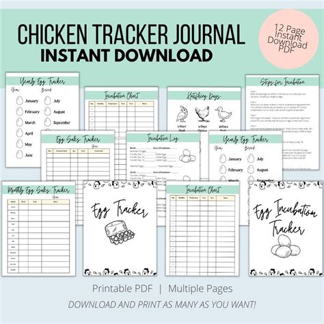 Egg Tracker Printable Egg Sales Tracker Egg Production Tracker Poultry Record Homestead